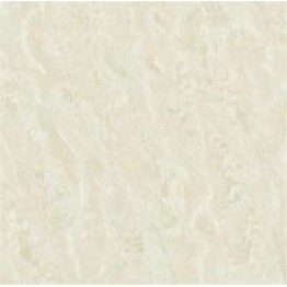 Gạch Trường Thịnh SIMPLICITYJP8882